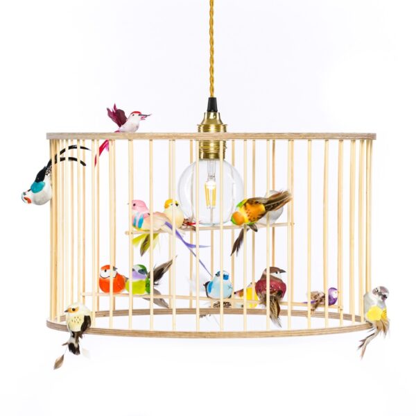 Birdcage lamp pendant light chandelier