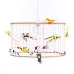 Birdcage Lamp