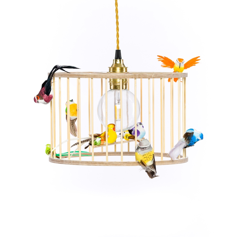 Birdcage Pendant Light Chandelier, Birdcage Light Fixture With Birds