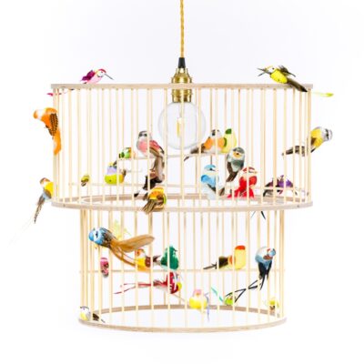 Double birdcage pendant light lamp chandelier