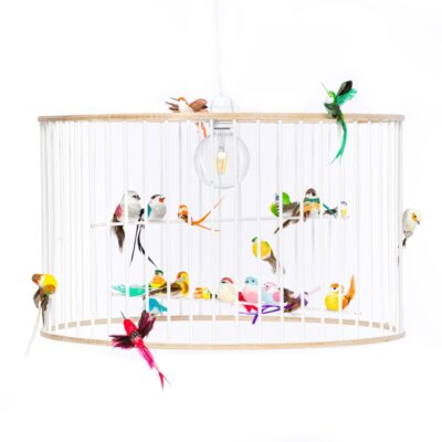 Large birdcage pendant light