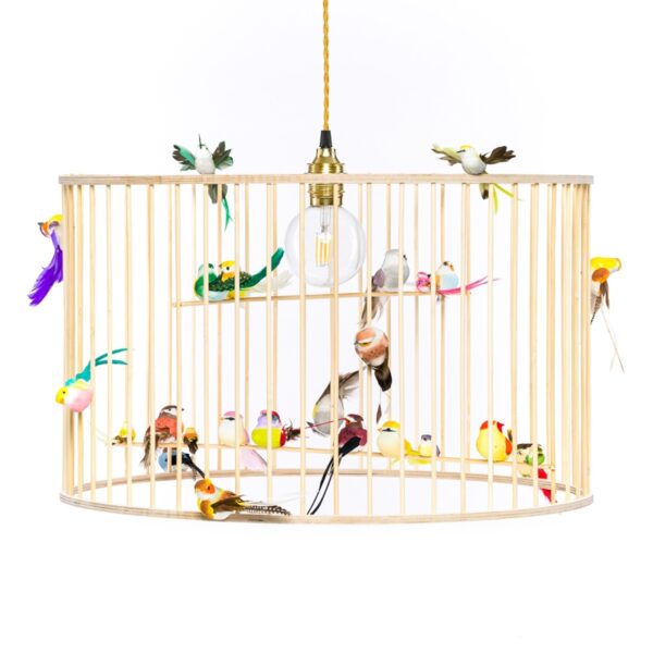 Large birdcage chandelier pendant light